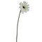 Allstate Gerbera Daisy Artificial Floral Stem Spray - 21.5" - Cream